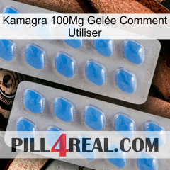 Kamagra 100Mg Gelée Comment Utiliser 23